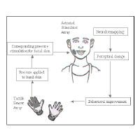 Graphical depiction of the Sensory Transfer Systems for the Sensory Impaired project