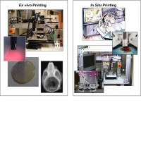 Portrait of Bioprinting