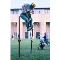 Graphical depiction of the BowGo project