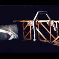 Portrait of Bridge Inspection with Serpentine Robots