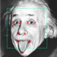 Portrait of Facial Feature Detection