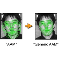 Portrait of Generic Active Appearance Models