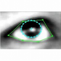 Portrait of Gaze Estimation