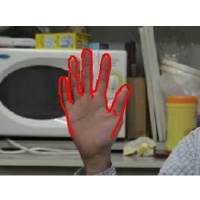 Portrait of Hand Tracking and 3-D Pose Estimation