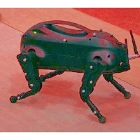 Graphical depiction of the Learning Locomotion project