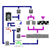 Graphical depiction of the Lucas-Kanade 20 Years On project