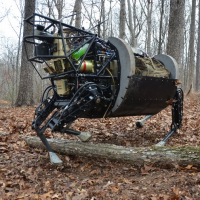 Graphical depiction of the Perception for LS3 project