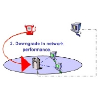 Graphical depiction of the MIGSOCK project