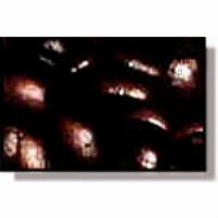 Graphical depiction of the Mobile Communications amongst Heterogeneous Agents project