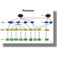 Graphical depiction of the Pleiades project