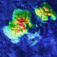 Graphical depiction of the Science Autonomy project