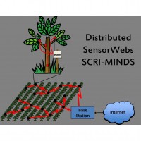 Portrait of Distributed SensorWebs