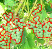 Portrait of Autonomous Vineyard Canopy and Yield Estimation