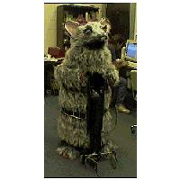 Graphical depiction of the Skinnerbots project