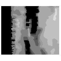 Portrait of Sonar Mapping for Underwater Vehicles