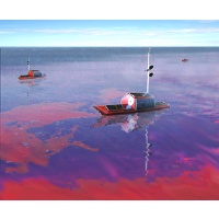 Graphical depiction of the Telesupervised Adaptive Ocean Sensor Fleet project