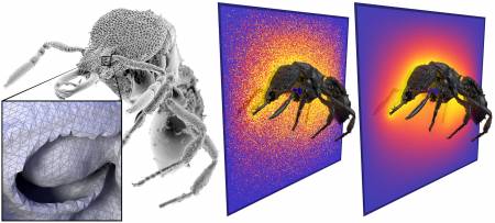 Meshless ant image