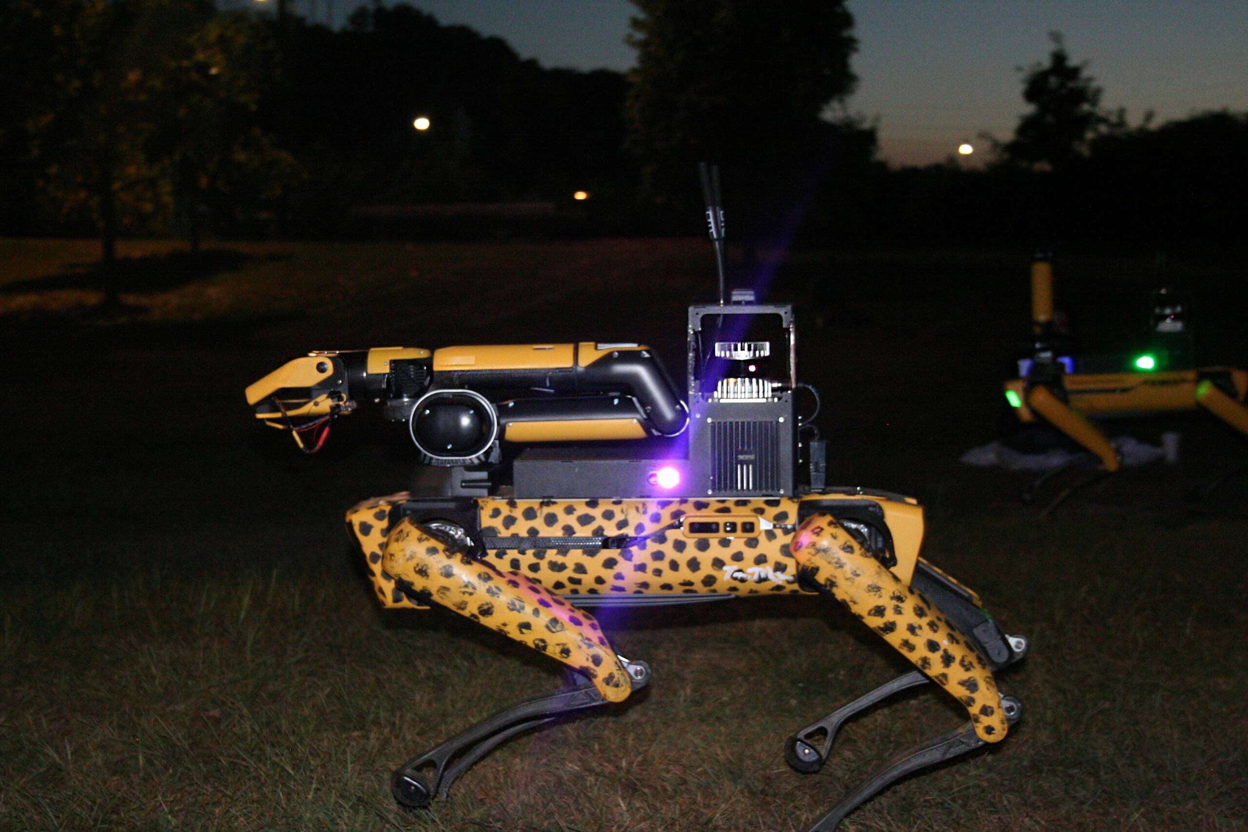 A yellow quadruped robot with black spots