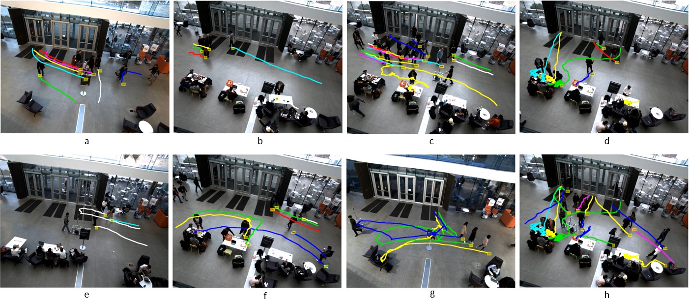 Eight example images from overhead cameras showing traces of pedestrian motion.
